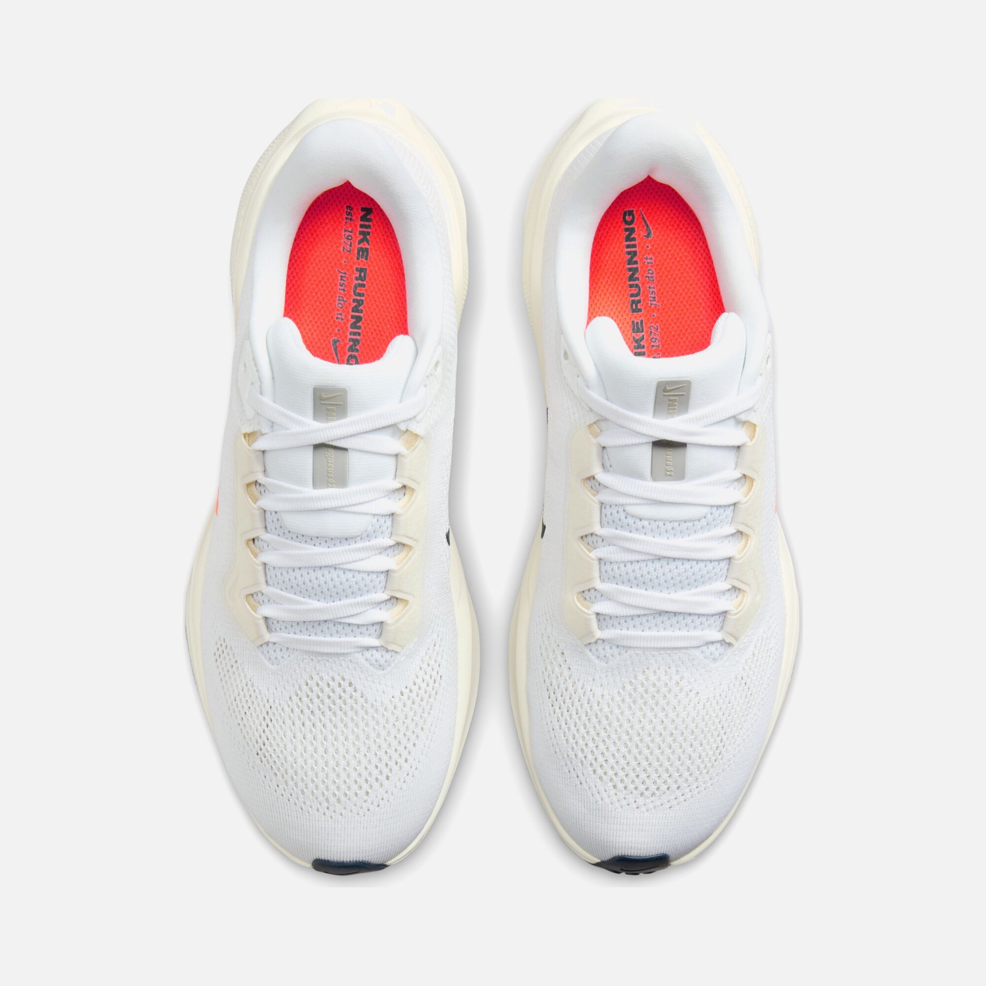 Nike Air Zoom Pegasus 41 PQ FW24 Road Running Kadın Spor Ayakkabı