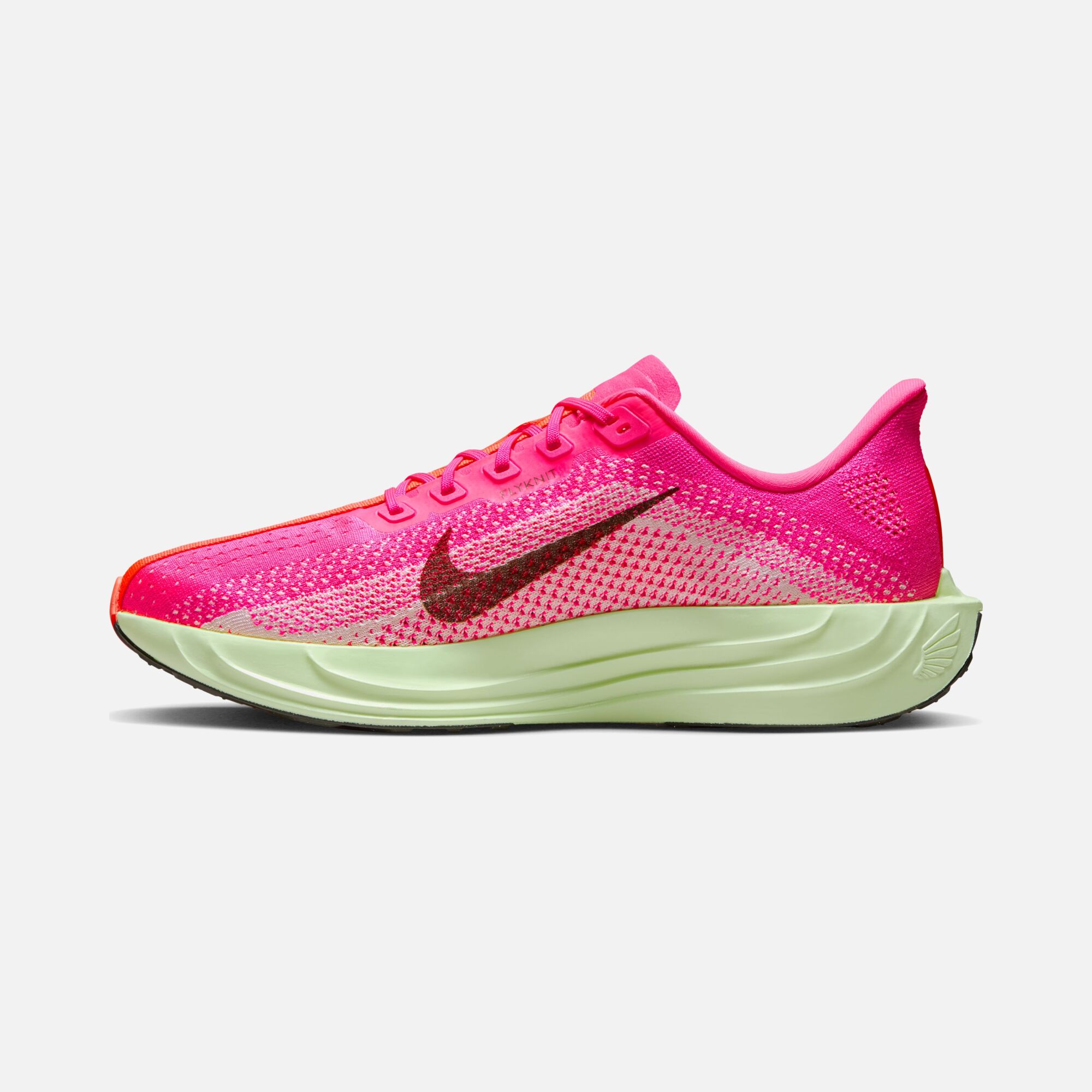 Nike Pegasus Plus SU25 Erkek Koşu Ayakkabısı