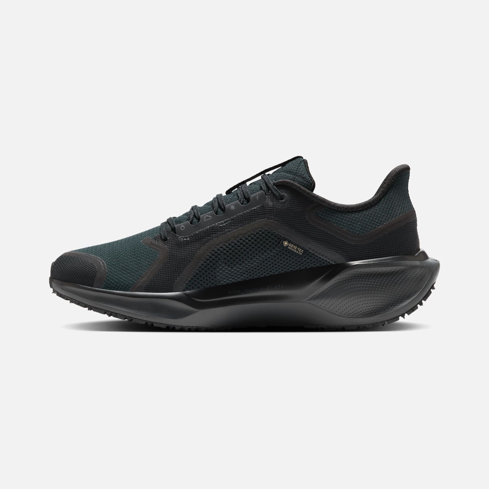 Nike Pegasus 41 Gore-Tex Waterproof Road Running Erkek Spor Ayakkabı