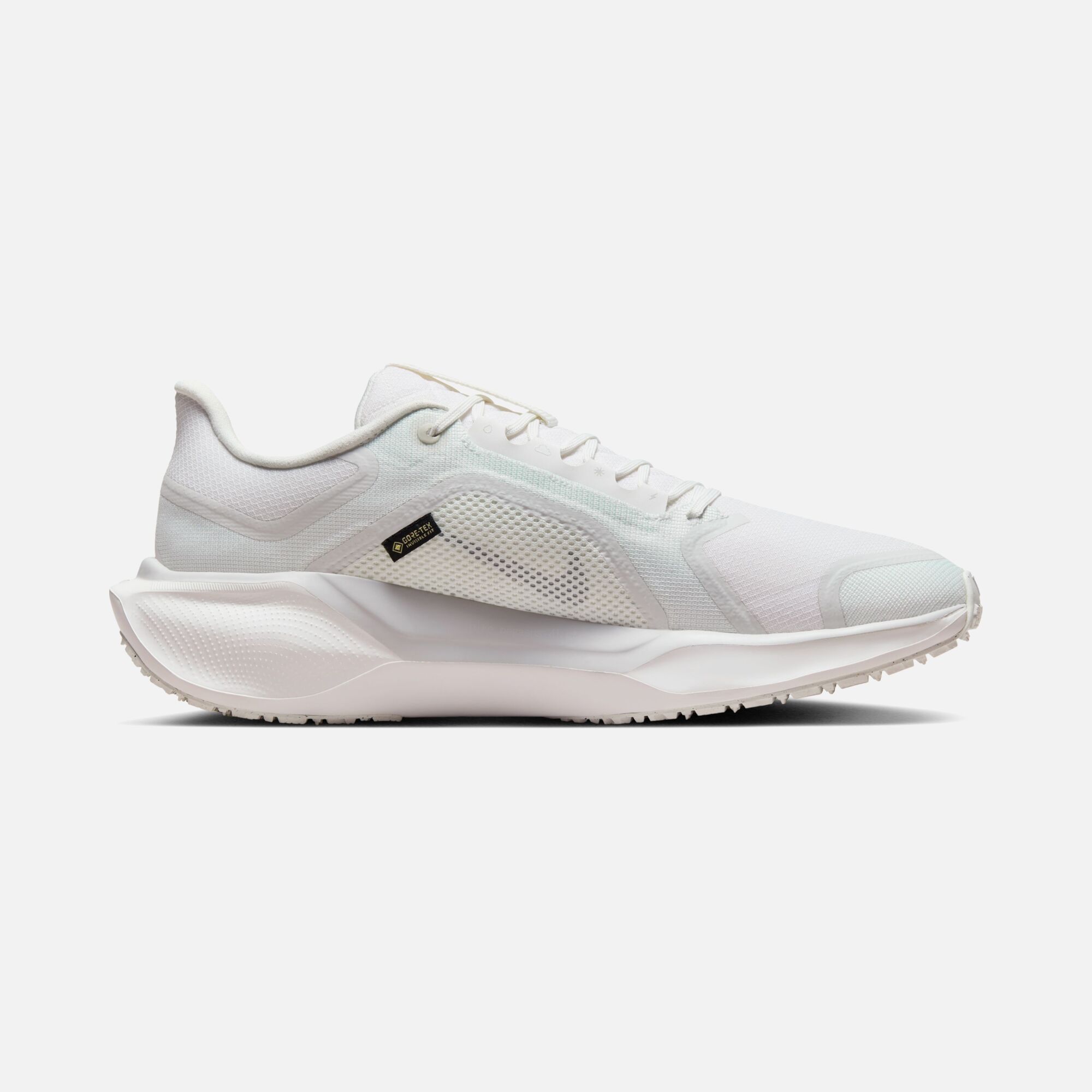 Nike Pegasus 41 Gore-Tex Waterproof Road Running Erkek Spor Ayakkabı