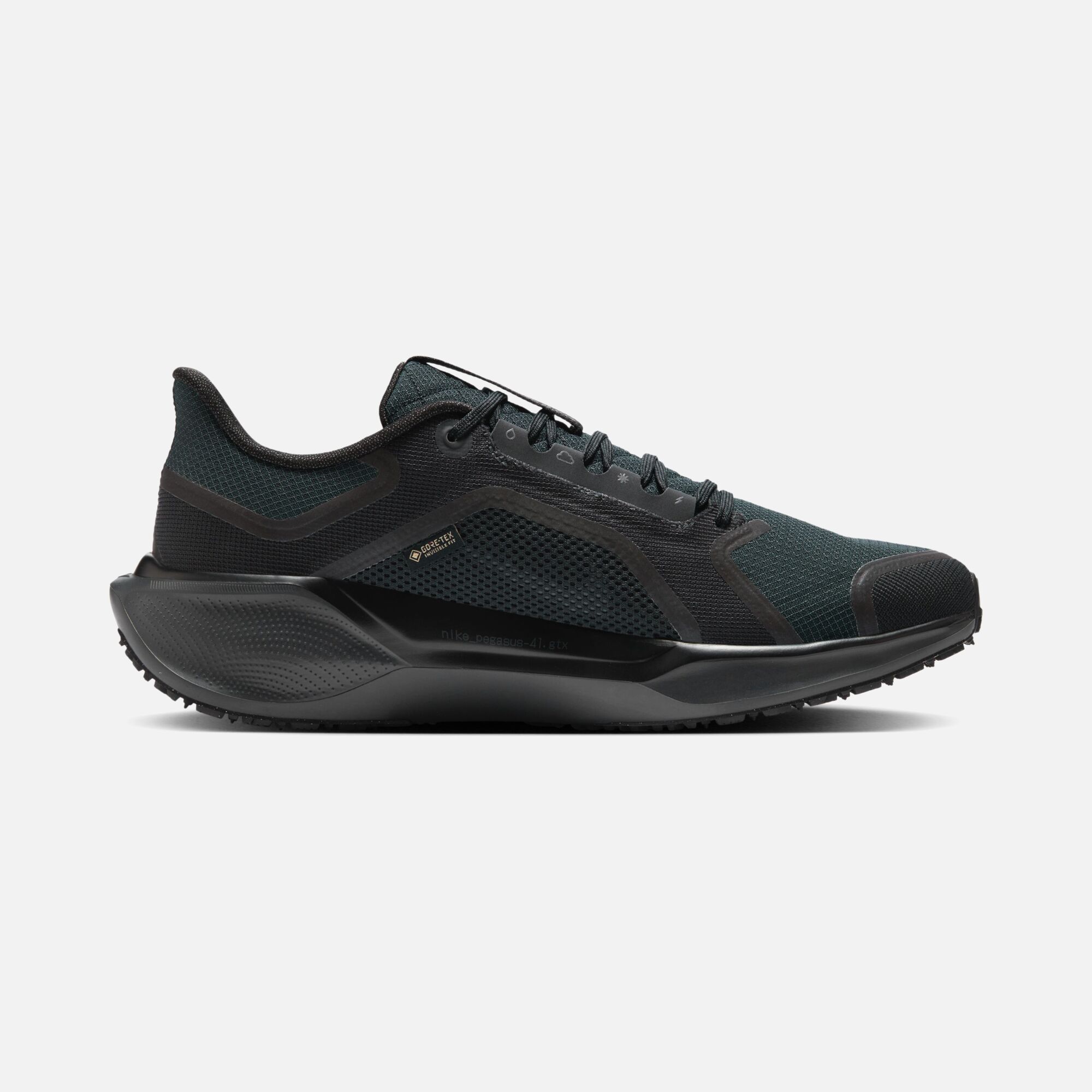 Nike Pegasus 41 Gore-Tex Waterproof Road Running Erkek Spor Ayakkabı