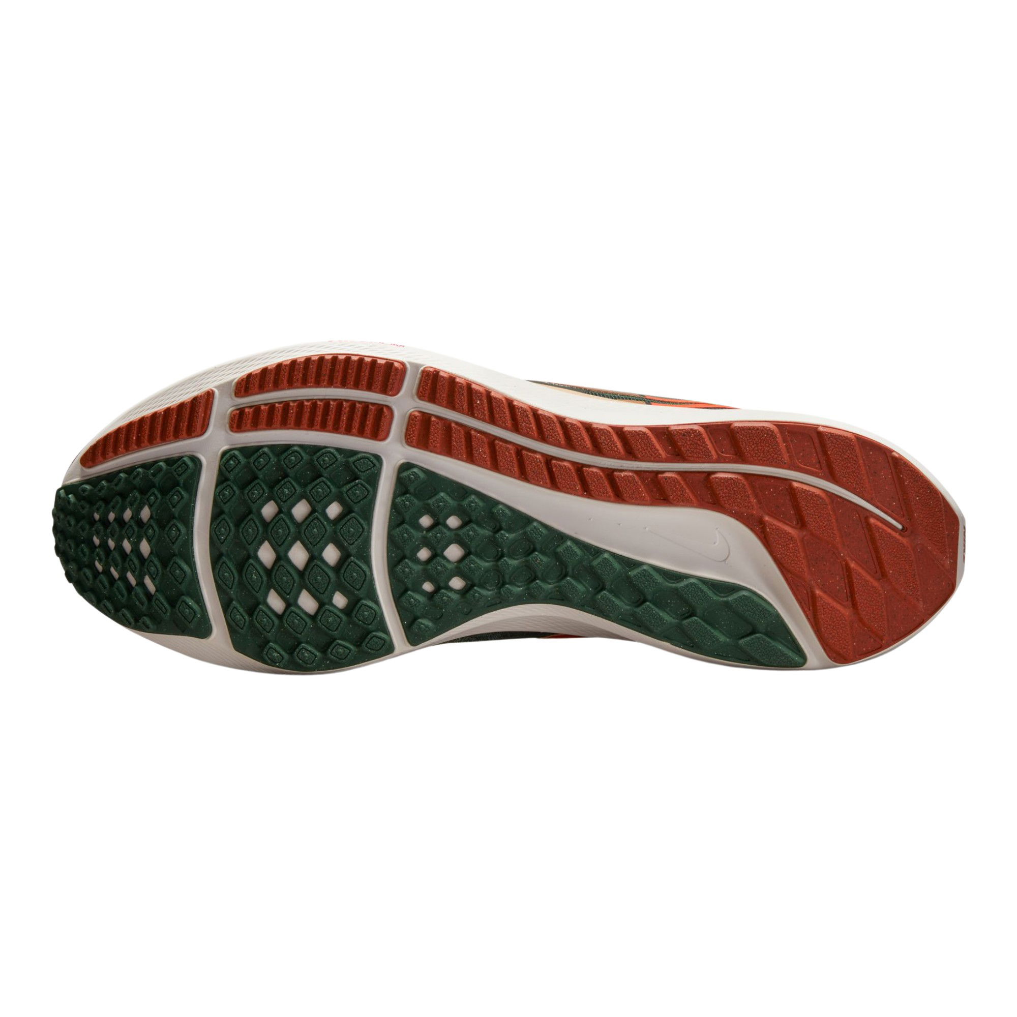 Nike Pegasus 39 A.I.R. Hola Lou Road Running Erkek Spor Ayakkabı